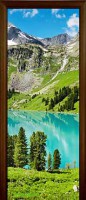 Стеклянная дверь Nature 1
