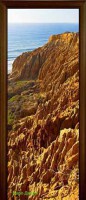 Стеклянная дверь Nature 2