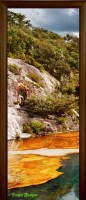 Стеклянная дверь Nature 3