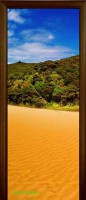 Стеклянная дверь Nature 5