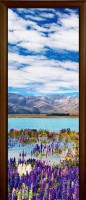 Стеклянная дверь Nature 6