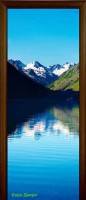 Стеклянная дверь Nature 8