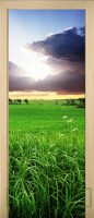 Sunset 11-57998620