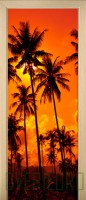 Sunset 14-47363929