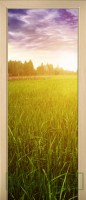Sunset 15-55102747