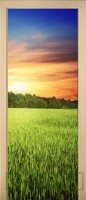 Sunset 16-57349678