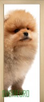 12_animals_44168473