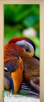 13_animals_46132729
