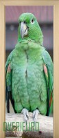 14_animals_51285034
