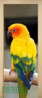 16_animals_52461664