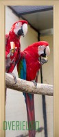 17_animals_52535137