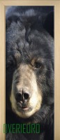19_animals_52591618