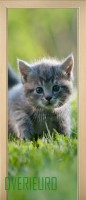 21_animals_59153266