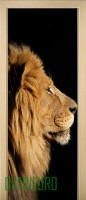 24_animals_9485377