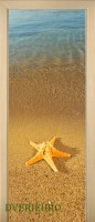 88_sea_49858201