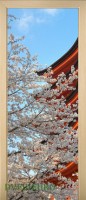 15_flouwers_39500068