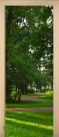 19_forest_56386933