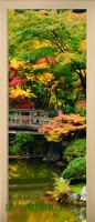 21_forest_39950122