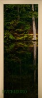 25_forest_41740432