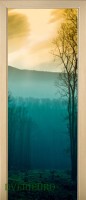 28_forest_42130873