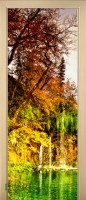 34_forest_47207374