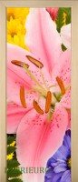 42_flouwers_14053171