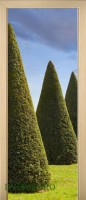 42_forest_52630072