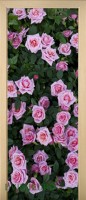 43_flouwers_59581279