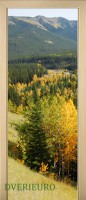 43_forest_52655374