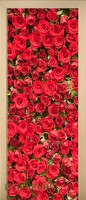 44_flouwers_59633644