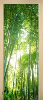44_forest_53261140