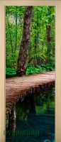 45_forest_54683734