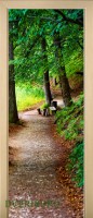 46_forest_54759811