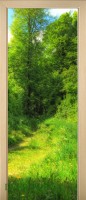 49_forest_55061338
