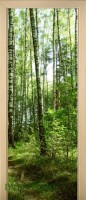 53_forest_60353245