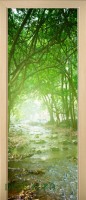 56_forest_46287367