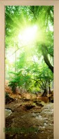 11_forest_25778332