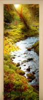 12_forest_2679090