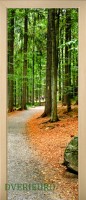 14_forest_32911126