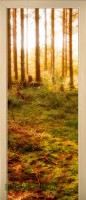 15_forest_33142657